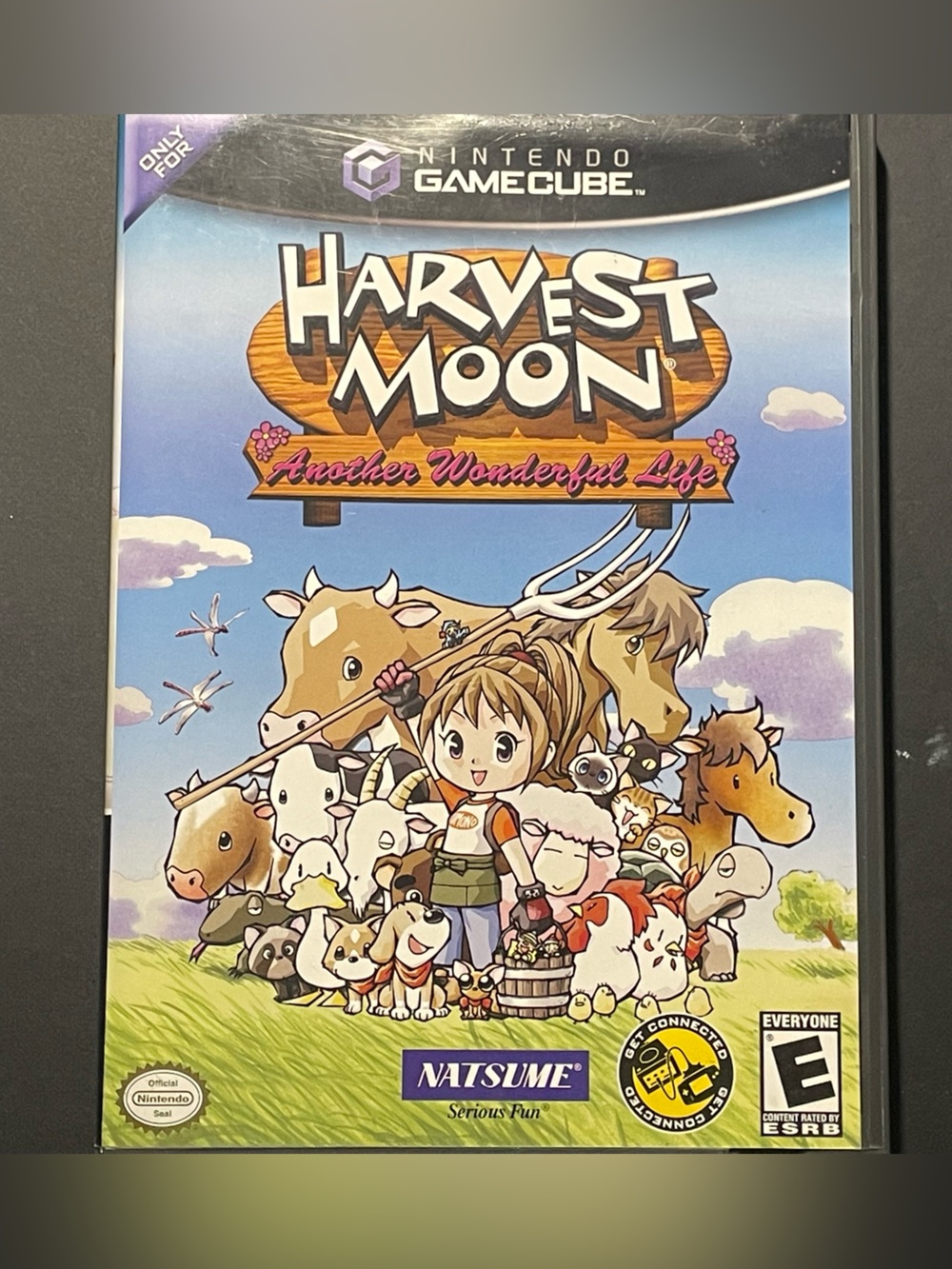Harvest Moon: Another Wonderful Life – Nintendo GameCube